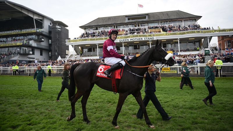 Don Cossack after winning the Melling Steeple Chase at Aintree last month