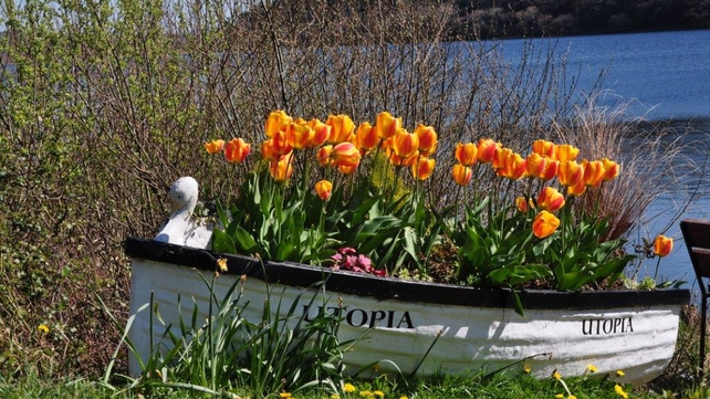 Tulip boat on the shores of Glencar Lake, Cregg, Sligo (Pic: Kevin McGlynn)
