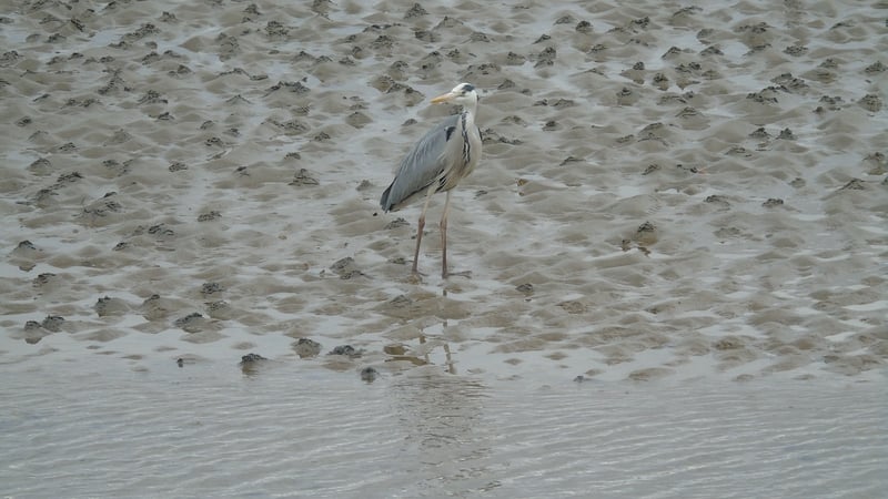 29 large towns and cities have failed to meet mandatory EU sewage standards (Pic: Sanjeev Verma)