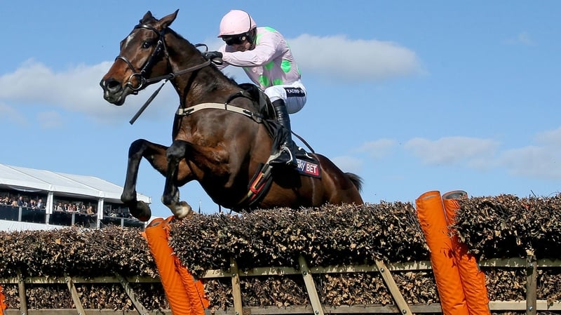 The pink and green silks of the Riccis have been carried to victory in the Moscow Flyer Novice Hurdle by Vautour and Douvan (pictured) in the last two seasons