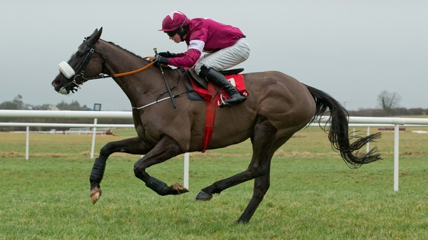 Don Cossack is the big draw at the Punchestown on Thursday