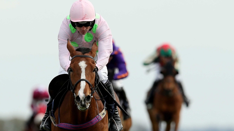 Faugheen leaves his rivals trailing to win the Punchestown Champion Hurdle