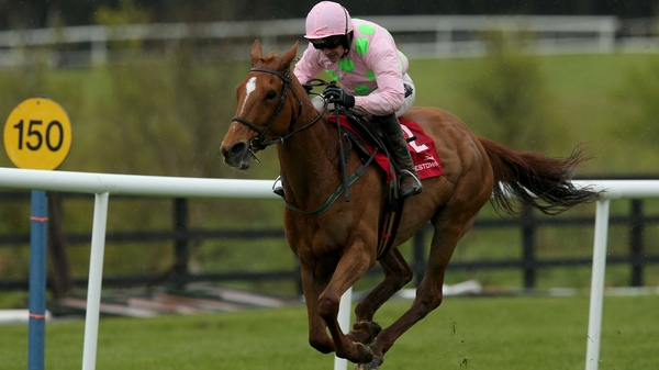 Annie Power has won 12 of her 14 races under Rules