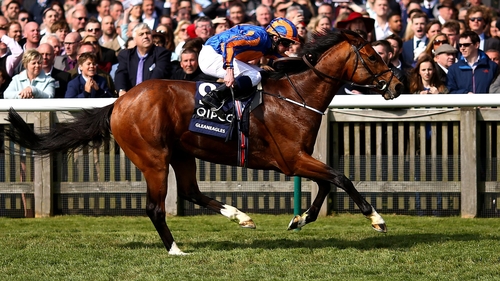 Gleneagles bids to give Aidan O'Brien a record-breaking seventh win in the St James's Palace Stakes