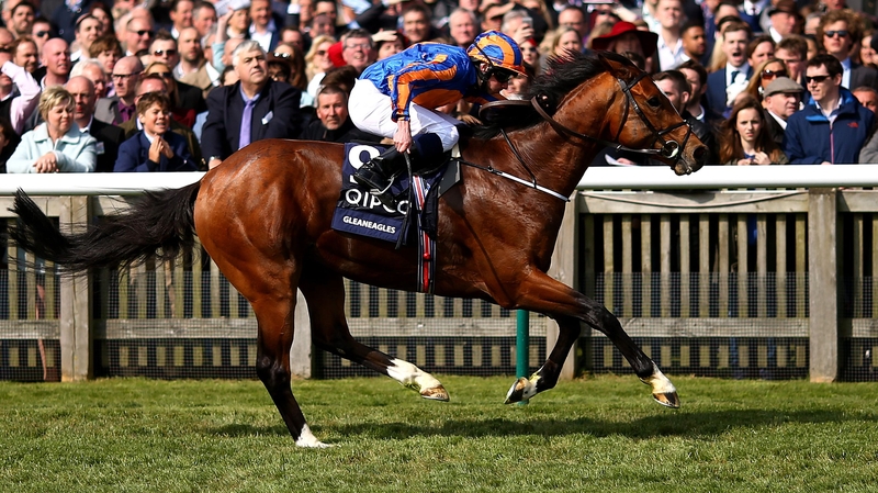 Gleneagles' pedigree Galileo-You'resothrilling (Storm Cat) provides mixed messages as to how he would handle a dirt surface
