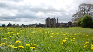 Trim Castle, Co Meath (Pic: Christopher Farrell)