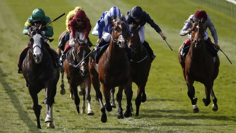 Nafaqa (blue and white silks) paid the price for pulling hard in the early stages of the Craven Stakes on his seasonal reappearance