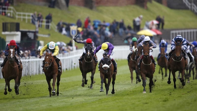 The progressive Trip To Paris (white blaze) mows his rivals down at Chester