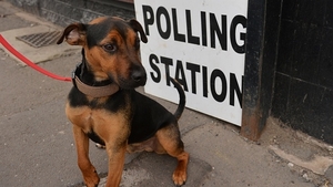A dog waits for its owner at a polling station in Sheffield, England