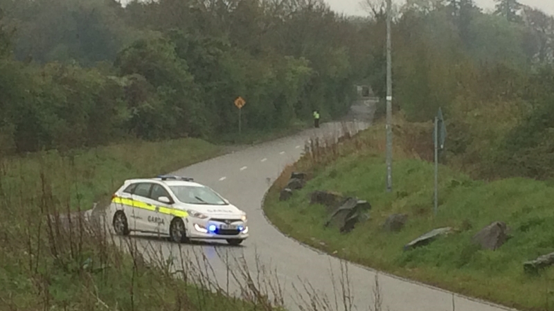 The baby was discovered near a business premises on Steelstown Road in Rathcoole