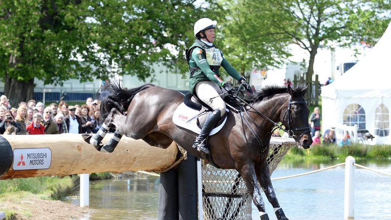 Aoife Clark was riding the 15-year-old gelding Vaguely North