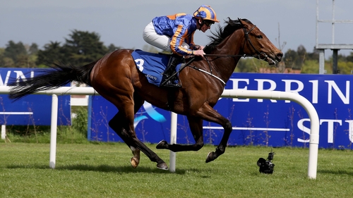 Will the Tabor colours be carried to victory in the feature?