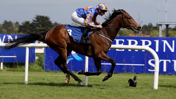 Will the Tabor colours be carried to victory in the feature?