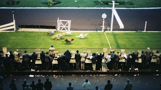 Greyhound Racing