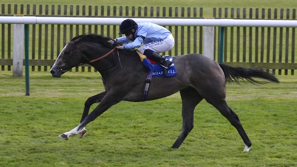Ryan Moore riding Consort to win the Derrinstown EBF Stallions Maiden Stakes at Newmarket racecourse in 2014