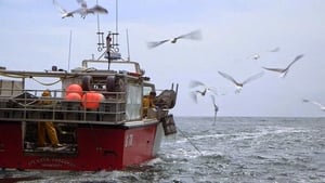 Bertie Ó FLaithearta, Iascaire. show image