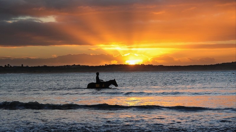 Horse and jockey at sunrise during a Warrnambool trackwork session at Lady Bay, Australia