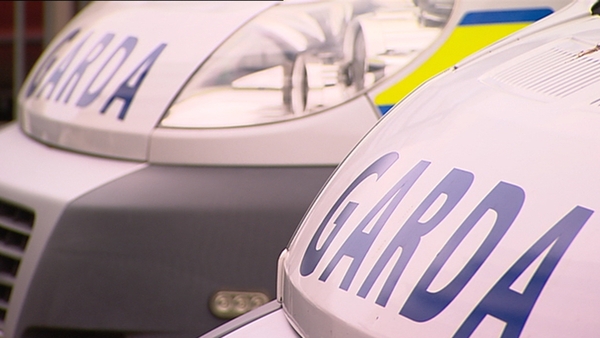 Searches were carried out between Fedamore and Meanus this morning