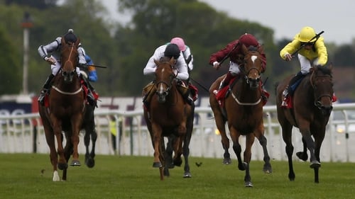 Secret Gesture is a best-price 13-2 for the Beverly D Stakes