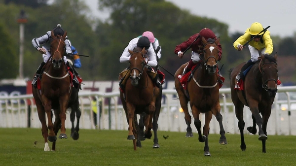Secret Gesture is a best-price 13-2 for the Beverly D Stakes
