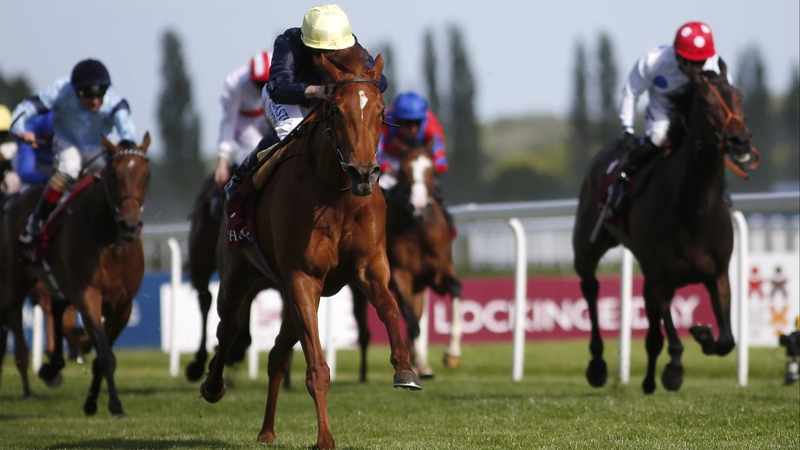 Crystal Zvezda is no bigger than 8-1 for the Oaks after her emphatic victory under a red-hot Ryan Moore at Newbury