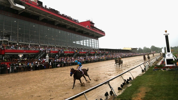 American Pharoah has won the last six of his seven career starts