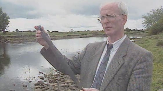 Sean Naughton