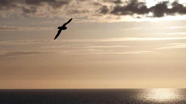 Meenogahane Pier, Co Kerry (Pic: Francis Foley)