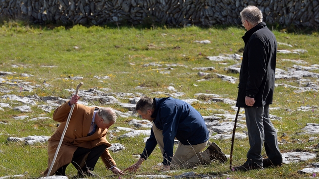 Prince Charles and Brendan Dunford study the flowers and the ground during his visit to The Burren, Co Clare