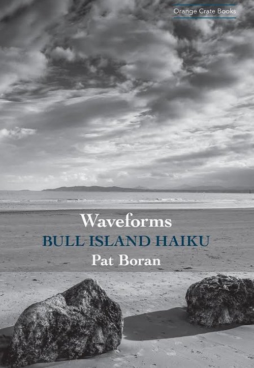 Poems and photographs of Bull Island in all its stark beauty.
