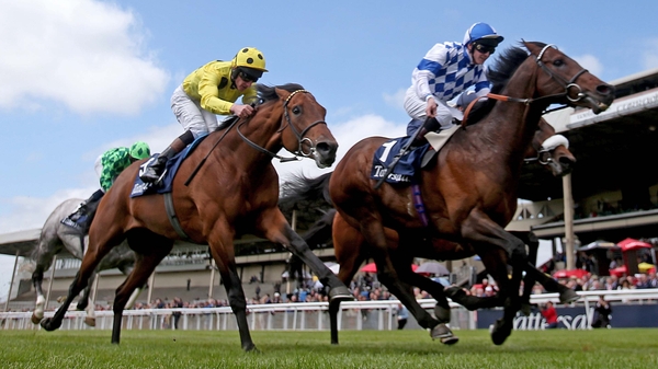 Al Kazeem (right) turned in a vintage performance at the Tattersalls Gold Cup
