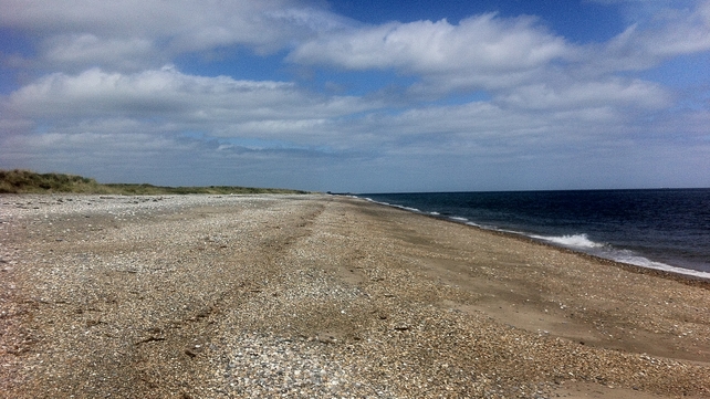 Killoughter Strand, Co Wicklow (Pic: David Marlborough)