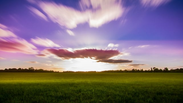 A scene from the Phoenix Park, Co Dublin (Pic: Philip Mulhall)