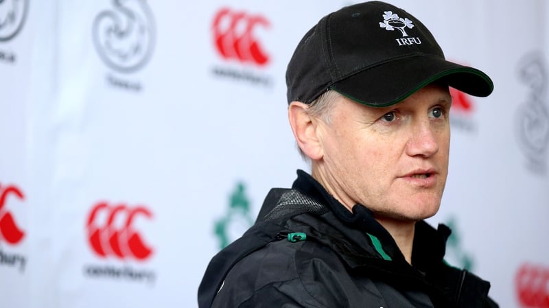 Joe Schmidt insists he had no part in Matt O'Connor's Leinster exit