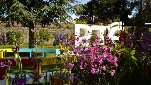 Watch! RTÉ TEN at Bloom