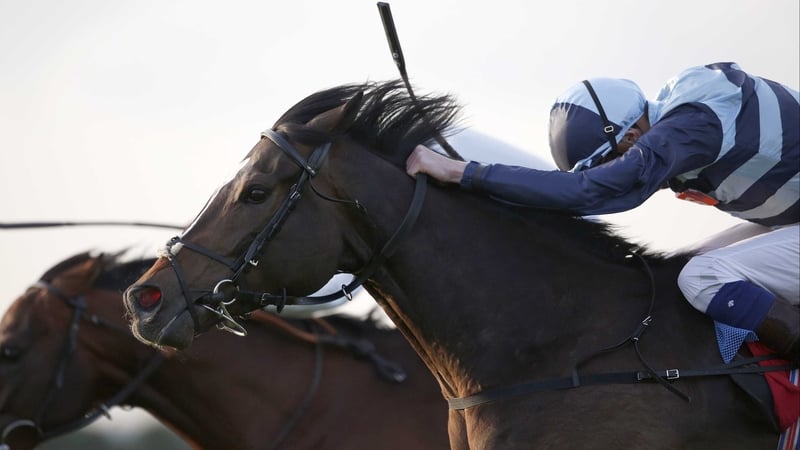 Western Hymn is a general 10-1 chance for the Prince of Wales's Stakes at Royal Ascot