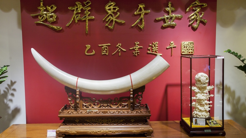 China is estimated to account for up to 70% of global ivory demand