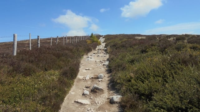 A view along the Wicklow Way (Pic: Martin O'Donoghue)