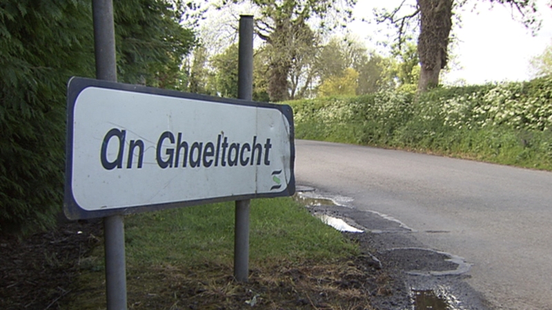 No Irish language courses will be run this year