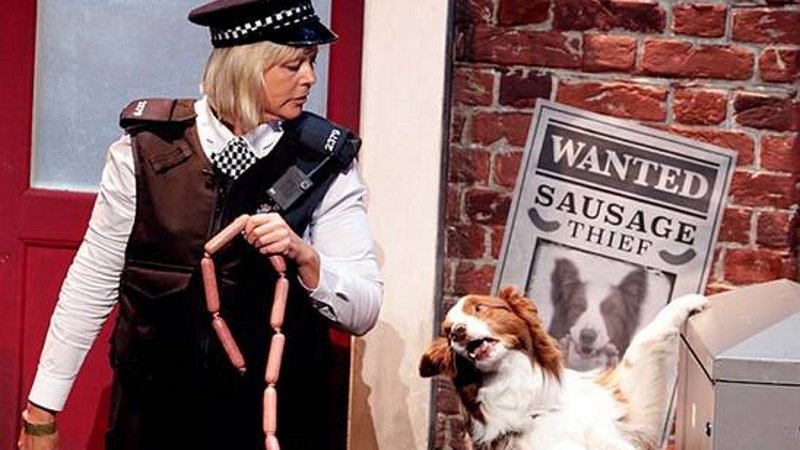 Jules and Matisse in action