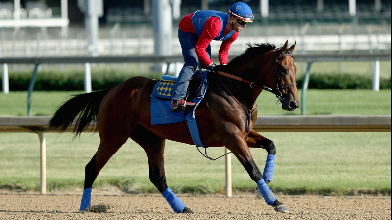 American Pharoah galloped over five furlongs in a shade over one minute at Churchill Downs on Monday