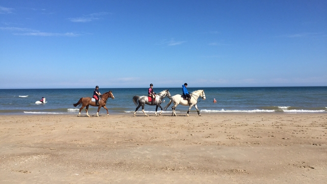 Horseriders in Co Wexford (Pic: Tara Choules)