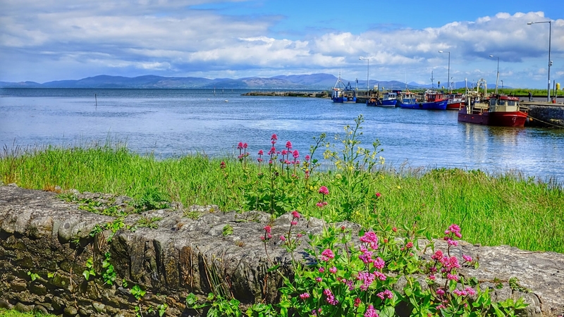 Colour at Annagassan Pier, Co Louth (Pic: Brian Smith)