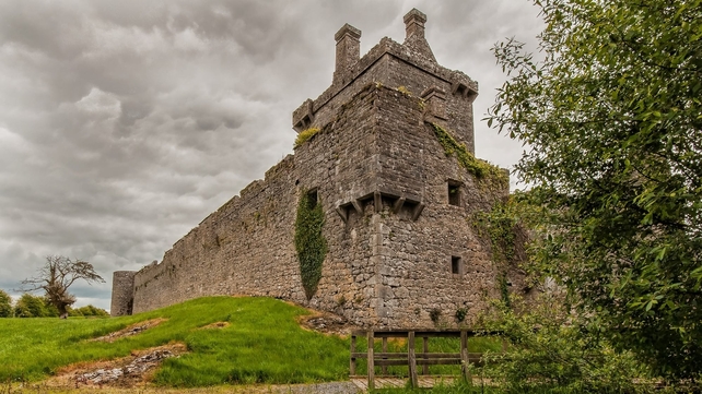 Pallas Castle, Tynagh, Co Galway (Pic: Trevor Dubber)