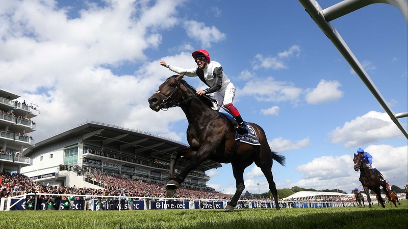 The unbeaten Golden Horn was a major drifter in the King George market after heavy rain hit Ascot