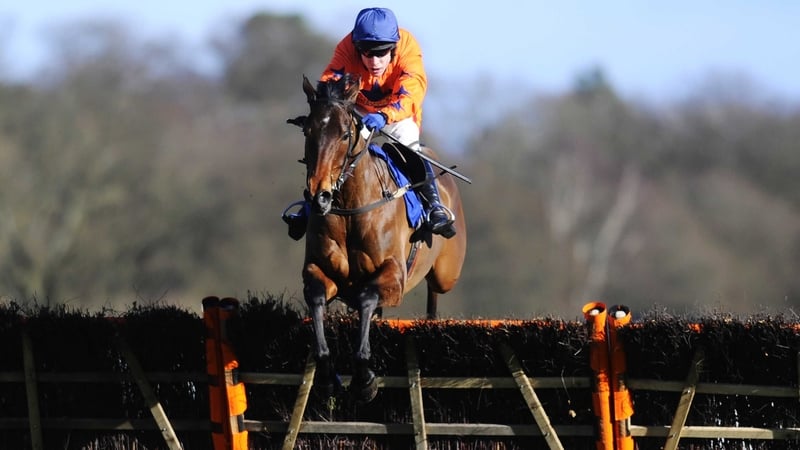 Three of Un Temps Pour Tout's five career wins have come at Auteuil