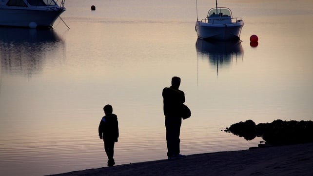Rogerstown Estuary, Co Dublin (Pic: Bernard Gillespie)