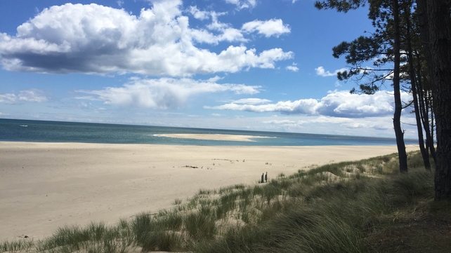 A scene from the beach at Raven's Point, Co Wexford (Pic: Paul Carberry)