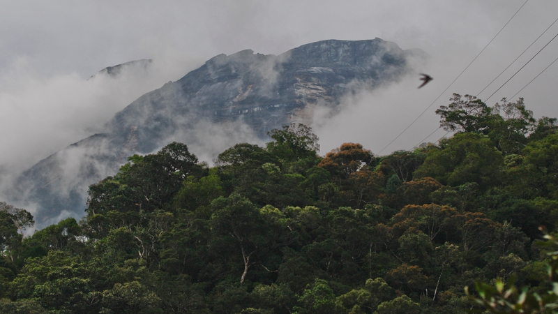 18 people were killed following the earthquake which struck Mount Kinabalu