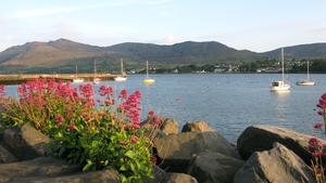 Looking at Slieve Foye from Warrenpoint Marina, Co Down (Pic: Kathleen Carville)